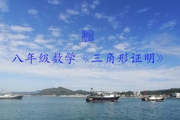 北師大版數學八年級下第一章《三角形證明》經典題和知識點彙總