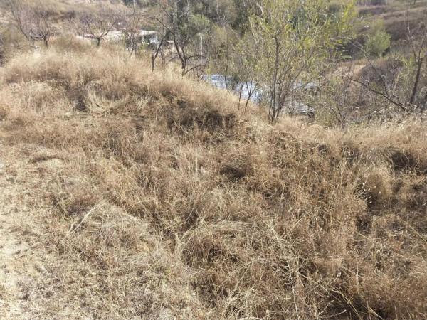 魯家峪的故事(2021－877)