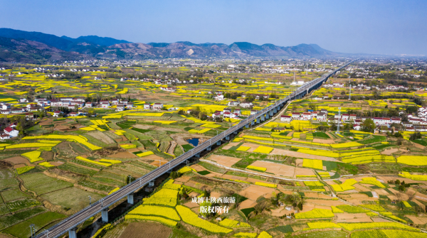 2021在疫情的陰霾下，我拍了陝西50個區縣！4萬多張圖片