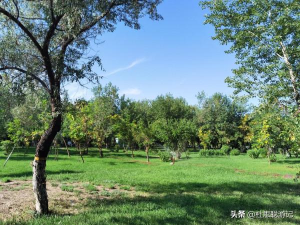 漢EV自駕新疆，吉木薩爾地質公園打卡，河底的網紅景點不要錯過