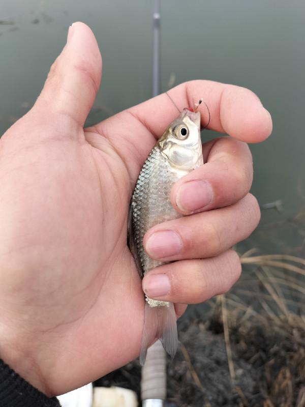 一起來尋&OpenCurlyDoubleQuote;巨物&rdquo;絕對是漁獲中的亮點