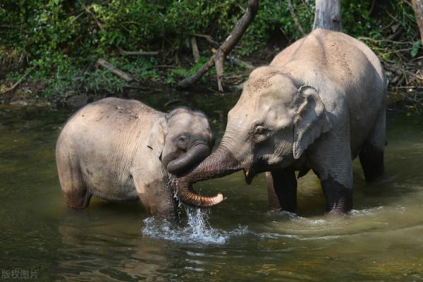 中老鐵路正式通車了!昆明到版納僅需3小時,11座車站一站一景 中老鐵路正式通車了!昆明到版納僅需3小時,11座車站一站一景