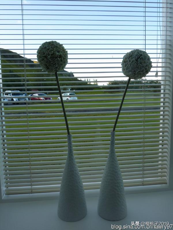 冰島是一個什麼樣子的國家（圖）