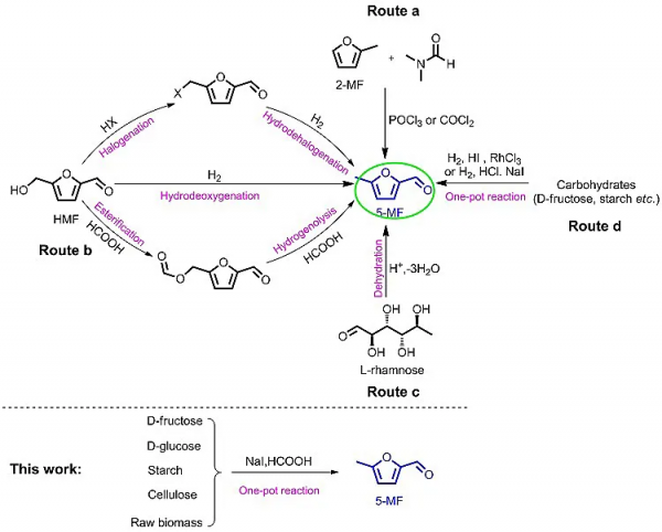 南昌大學楊維冉教授課題組碘催化最新研究工作概覽