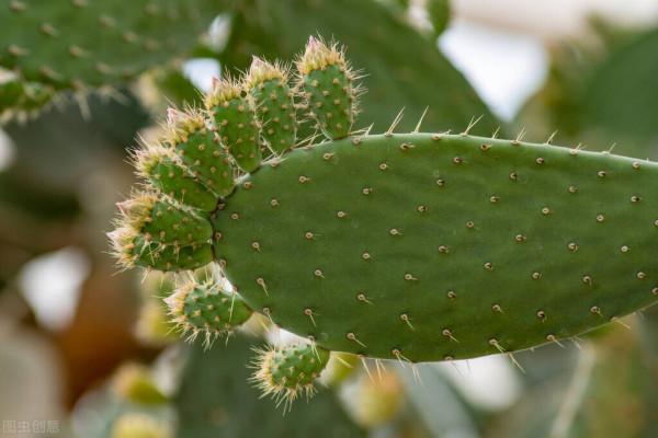 一課一題一語法：新概念英語第1冊第87-88課