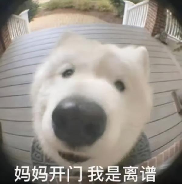 成績這兩天公佈?別猜了!這可能是近3年最難熬的一次考試…… 成績這兩天公佈?別猜了!這可能是近3年最難熬的一次考試……