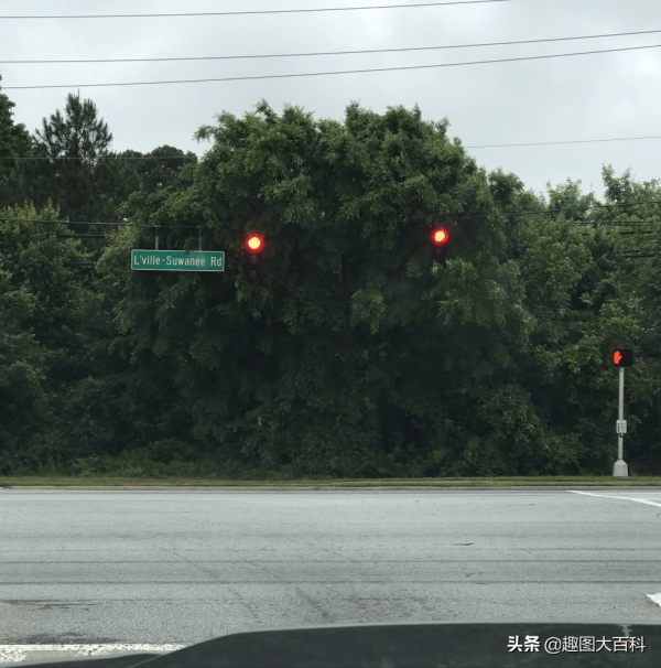 41張“活久未見”的巧合圖片，讓人感覺很難相信這是真的