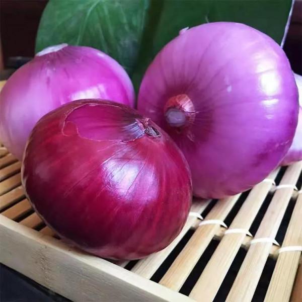 冬天女人健身減脂,記得吃8種鹼性食材,加速脂肪燃燒,好吃不貴 冬天女人健身減脂,記得吃8種鹼性食材,加速脂肪燃燒,好吃不貴