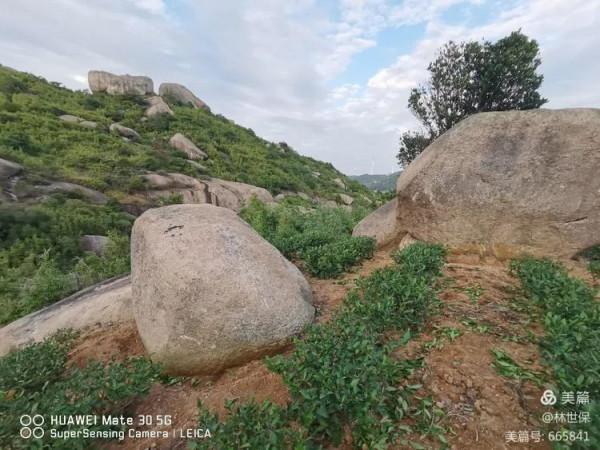 朋友圈2021年第31期