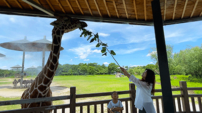 超值二月 歡樂不停 &sol;&sol; 特惠門票、免費遊園、高能福利&period;&period;&period;都在這裡