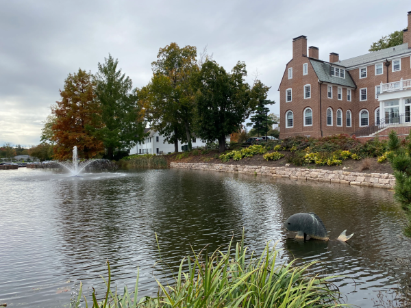 如何在股市實現財務自由,炒股的真諦 如何在股市實現財務自由,炒股的真諦
