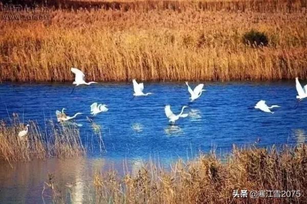 涵育有趣的靈魂,一定要多讀閒書 涵育有趣的靈魂,一定要多讀閒書