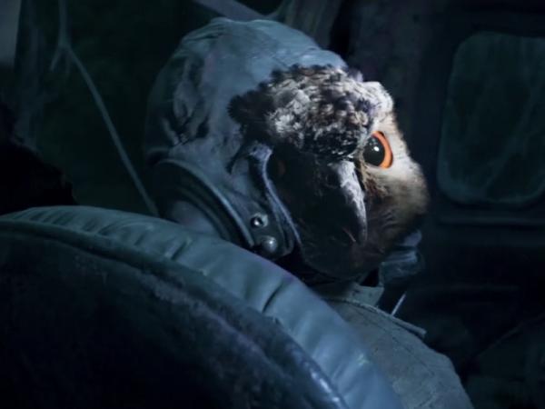 尋找《雲南蟲谷》中的C位生物之神奇動物 你見過嗎？