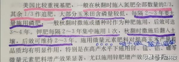 玉米種植“〇風險”,強過地鄰“五分之一”很簡單 玉米種植“〇風險”,強過地鄰“五分之一”很簡單