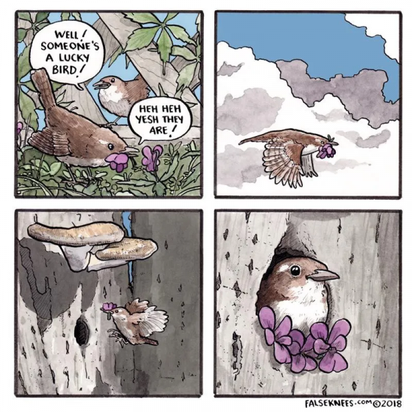 和海鷗一起去碼頭整點薯條吧 | 夜讀 和海鷗一起去碼頭整點薯條吧 | 夜讀