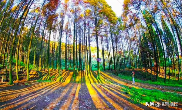 這幾個愈秋愈美的小眾旅行地，錯過只能再等一年