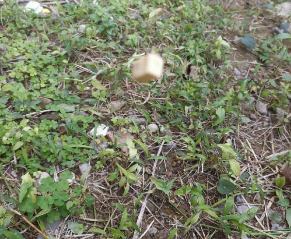 [十週年亅艱難釣魚路,我用妙招撬開鯽魚口 [十週年亅艱難釣魚路,我用妙招撬開鯽魚口