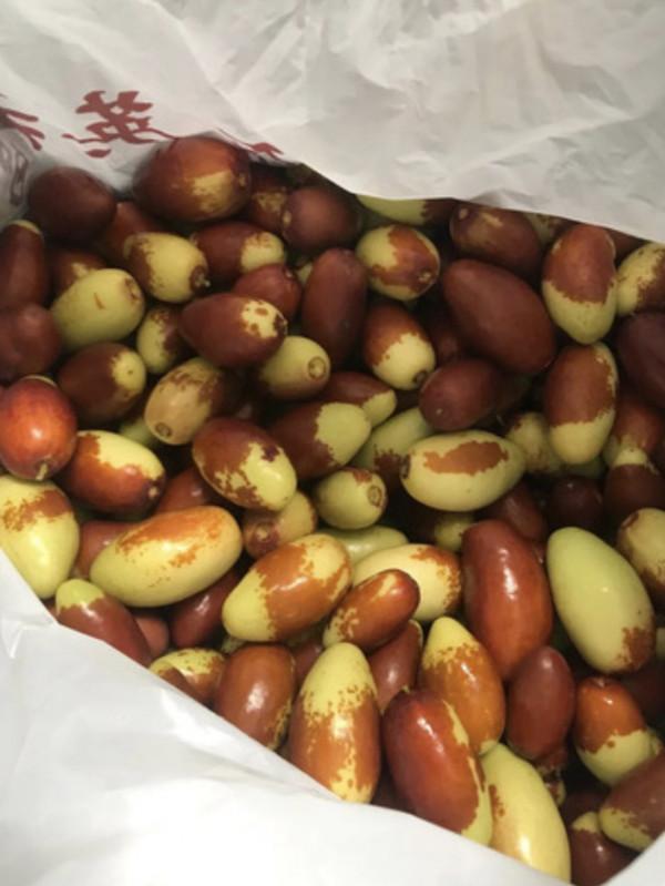 今年多雨水,棗子珍貴的很~京城這幾家棗園留住了秋日的甜蜜 今年多雨水,棗子珍貴的很~京城這幾家棗園留住了秋日的甜蜜