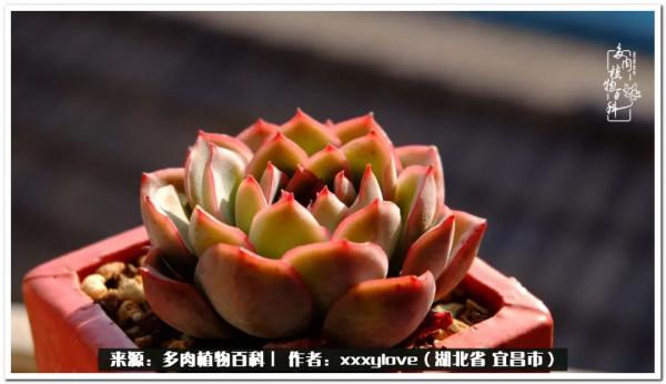 時光匆匆，一閃而逝，這世間萬物的美，都值得被記錄