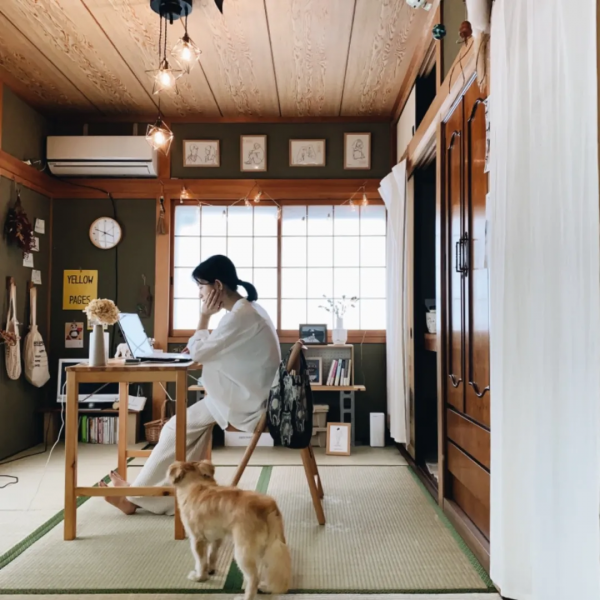 一人一狗蝸居19㎡小屋,引來3萬人圍觀!高收入小姐姐的歲月靜好 一人一狗蝸居19㎡小屋,引來3萬人圍觀!高收入小姐姐的歲月靜好