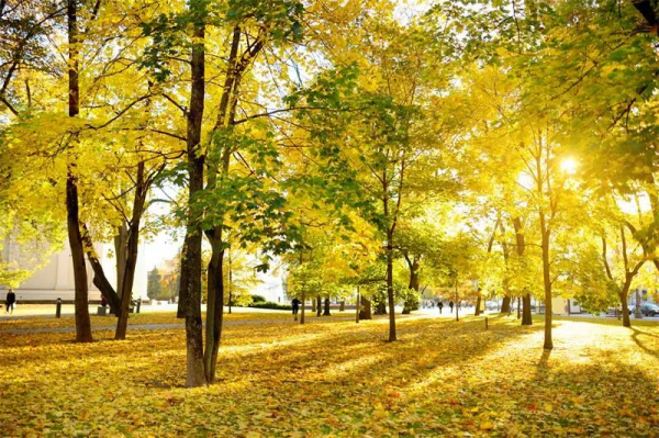 全球都市農業的5種模式解讀:不僅僅是模式競爭,更是產業競爭 全球都市農業的5種模式解讀:不僅僅是模式競爭,更是產業競爭