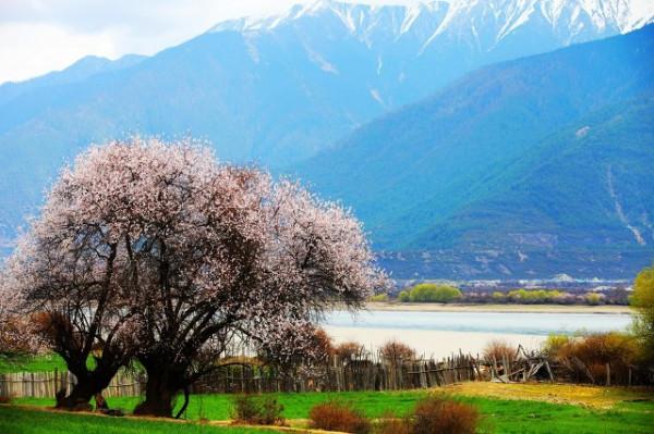 文化常識：都是指道路，路，道，途，徑，阡，陌有什麼不同