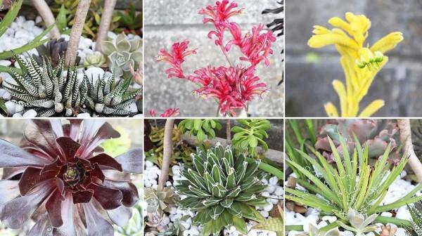 老人改造一個25年的70平米老花園,網友:幸福美滿的退休生活 老人改造一個25年的70平米老花園,網友:幸福美滿的退休生活