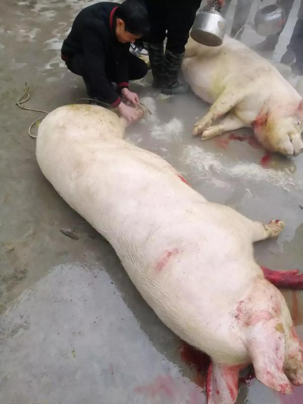 現代農村的春節現狀