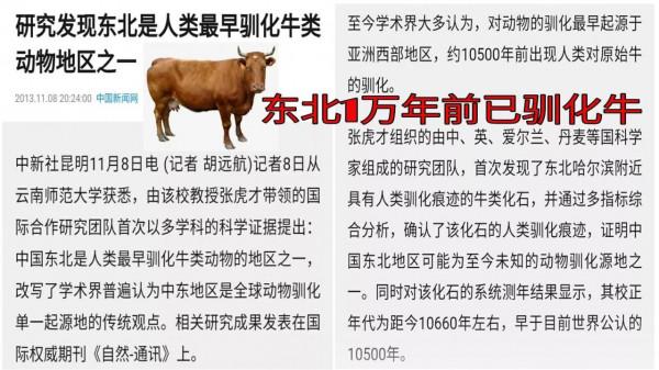 商周N系基因，東北1萬年前馴牛！紅山玉豬龍，或是烏洛候王亥徽記