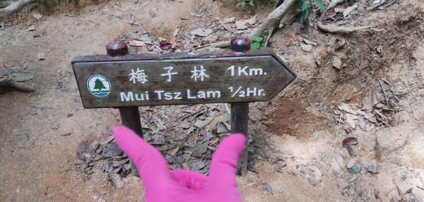 探險香港陽元石，路途崎嶇比較危險，需要資深的行山人士帶路