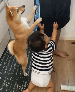 網友要出門了，狗狗和孩子一起扒他的腿，動作簡直是一模一樣啊