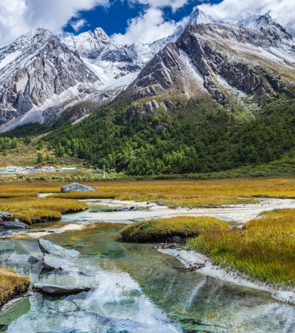 為什麼全國都愛四川的秋天! 為什麼全國都愛四川的秋天!