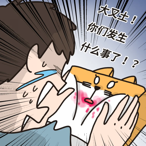 毛孩子為何突然“倒地”？罪魁禍首原來是它自己