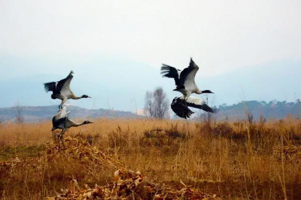 疫情過後，我想再去一次貴州，這10個地方，一直讓我念念不忘