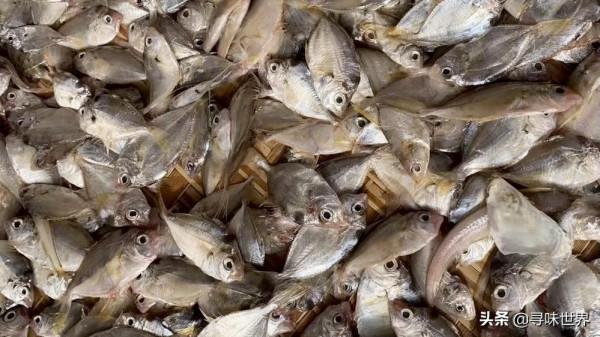 買魚時，內行人專買這9種純海魚，難以人工養殖，看完長知識