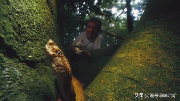 不要去這些禁地旅行—你不妨把這些從你的清單中刪除 不要去這些禁地旅行—你不妨把這些從你的清單中刪除