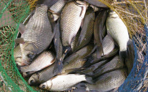 三個基礎知識點你必須要弄明白，冬季選釣位就不會出錯了