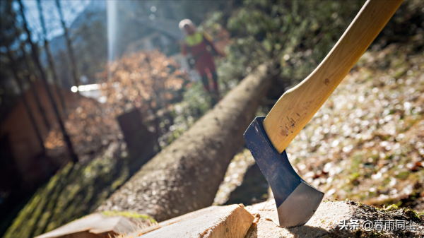 選擇露營斧（手斧）注意四點：5把最適合揹包客、野外露營的斧頭