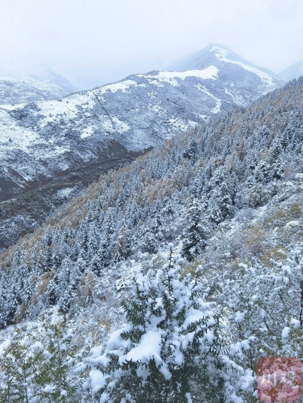 四姑娘山秋日 水墨丹青畫中游