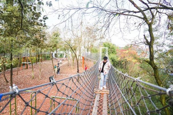 古藺城市新名片——酒街