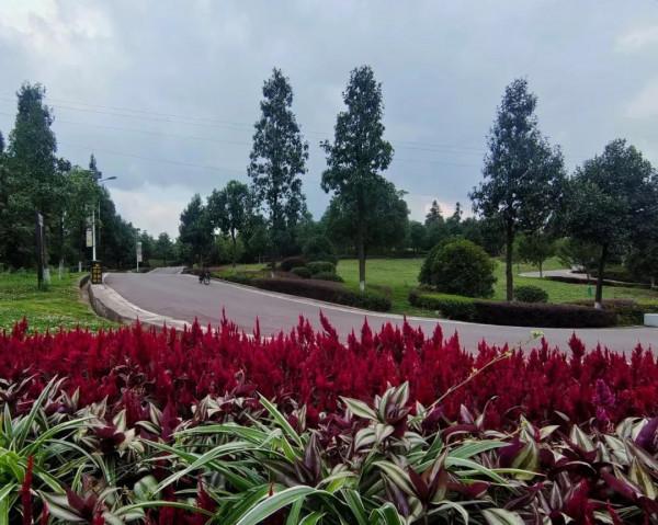 繽紛花海，果蔬採摘，房車露營......中秋出遊就來羊昌！