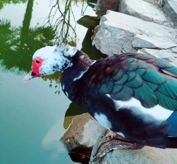 週末遊玩地指南！48小時假期就該這麼玩