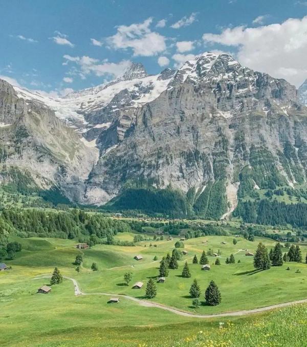 阿爾卑斯山僧侶峰高地的草甸真的太震撼了