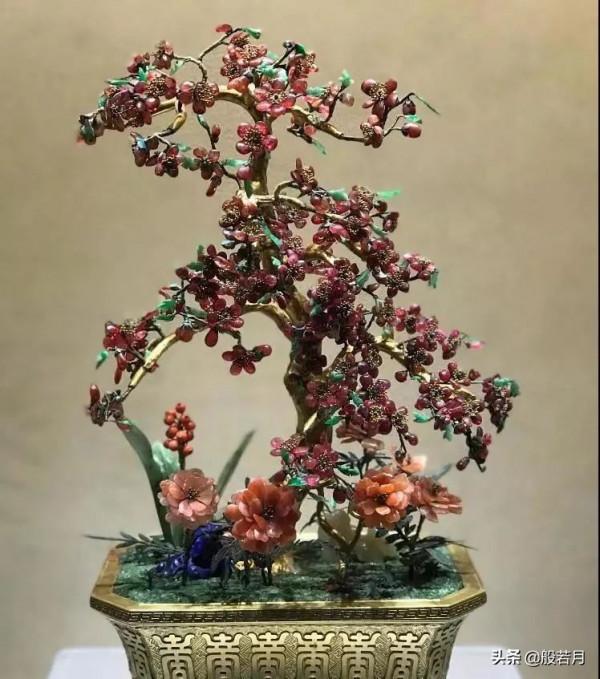 這些盆栽要是家裡能有一盆，賊有面子