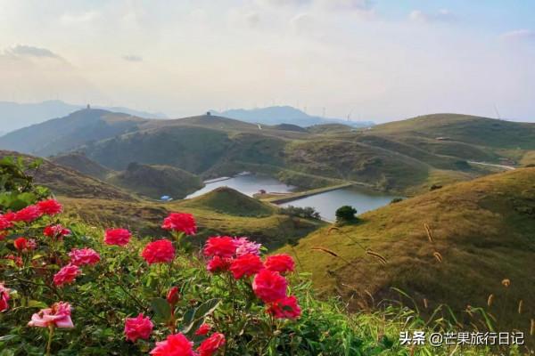 湖南又一小眾景點走紅，距離廣州1.5小時高鐵，像走進宮崎駿動畫