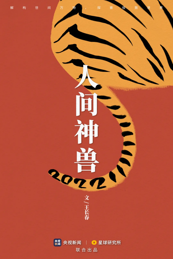 &quot&semi;meng&quot&semi;虎出山，虎年新春帶你看老虎的前世今生