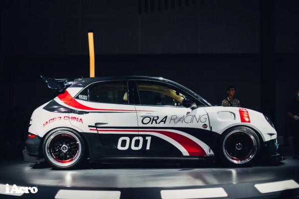 關於好貓“如虎”,你想知道的都在這裡了 關於好貓“如虎”,你想知道的都在這裡了