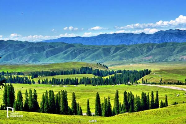 中國最美秋色來襲！一年僅三週，奉上這份自駕攻略，今年別再錯過