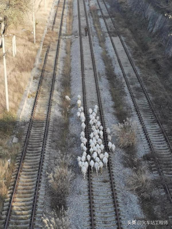 探訪蒲白鐵路之四～杜康火車站