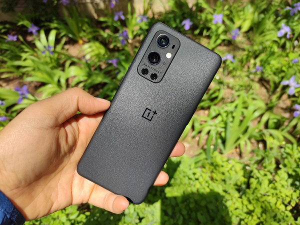 iOS 15支援照片實況文字！這功能怎麼用？和安卓手機有何不同？